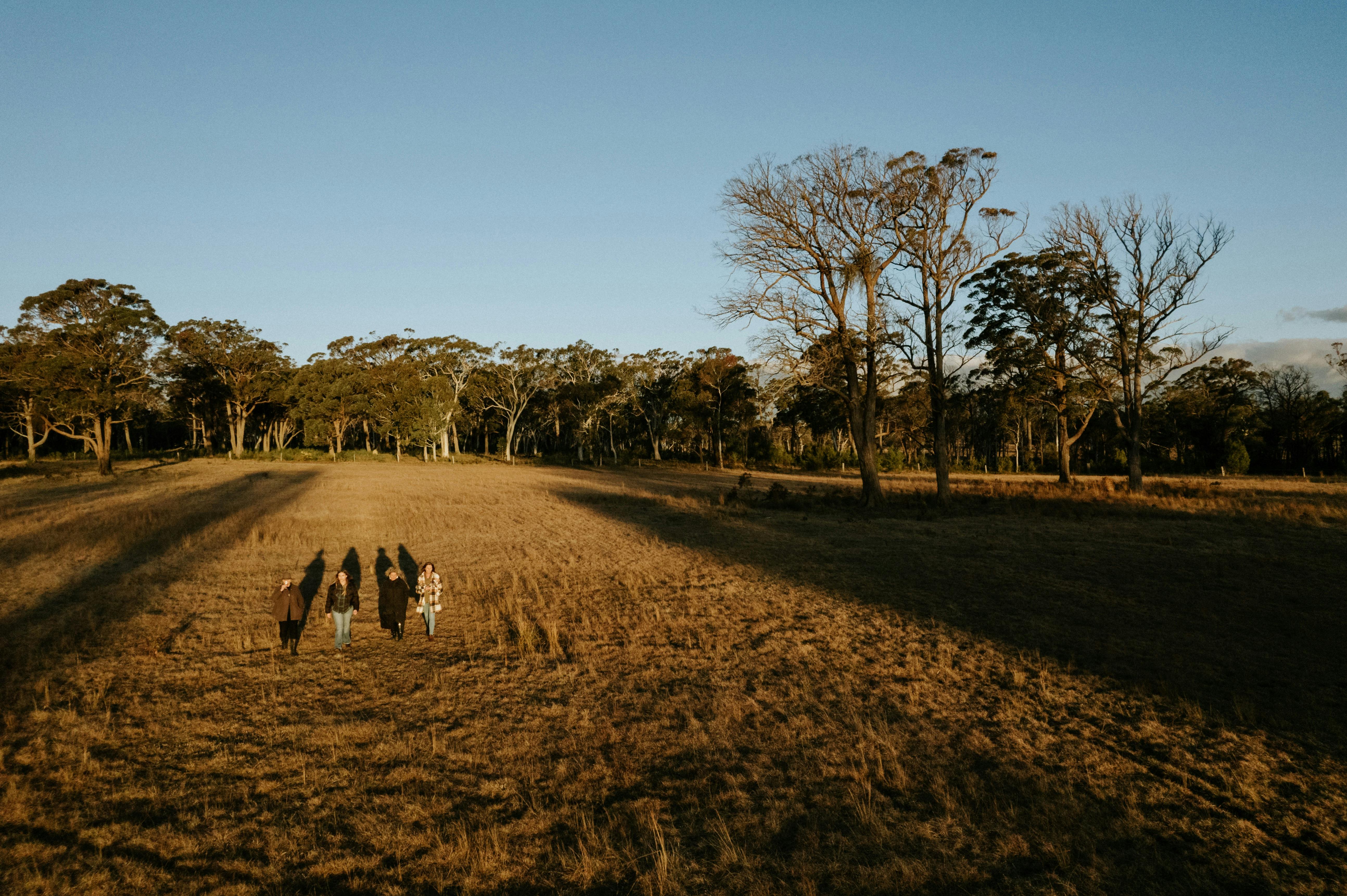 Walking in Scribbly Farms untouched Paddock at dusk