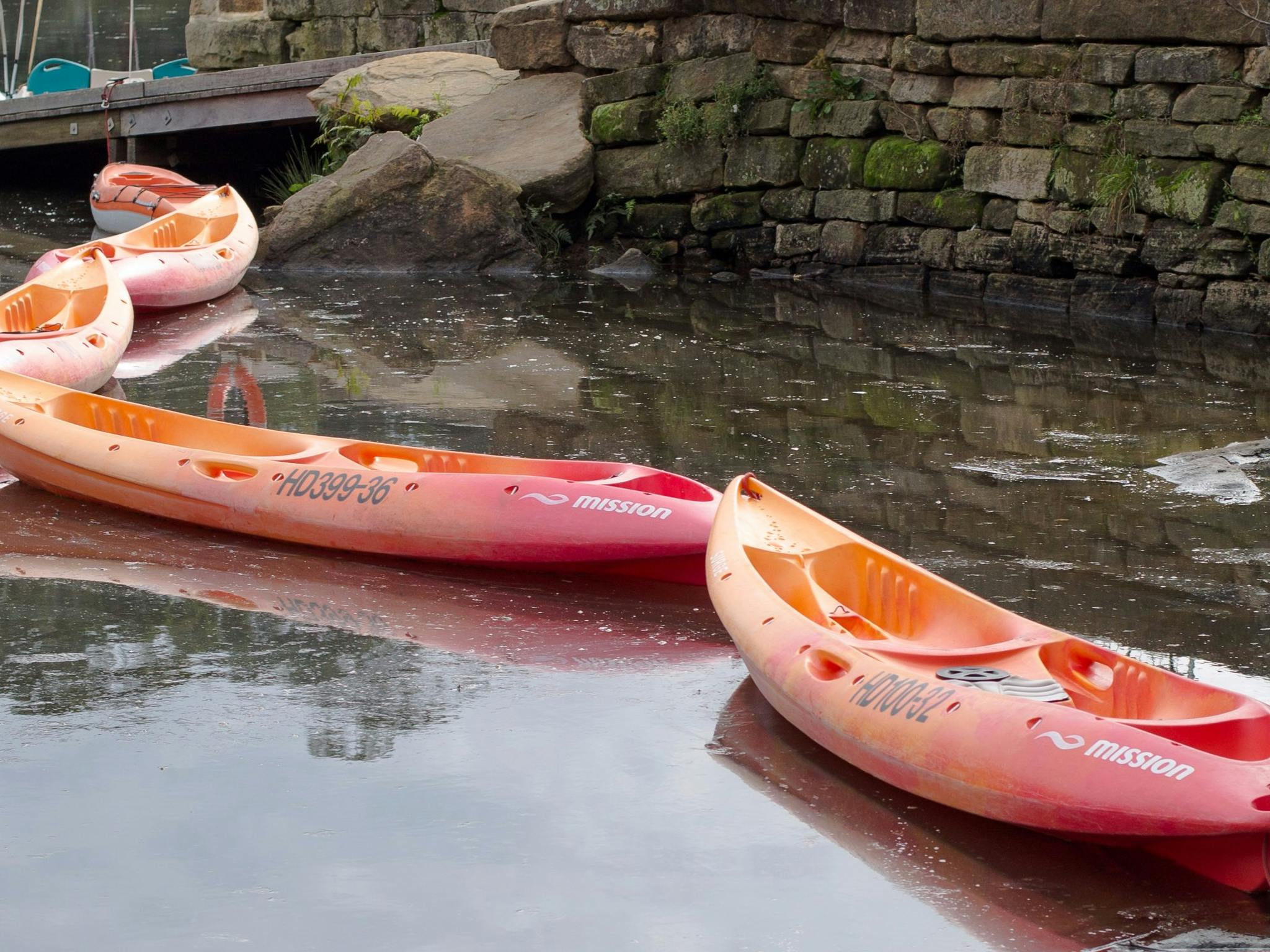 Parramatta Rowboat Kayak and Pedalboat Hire