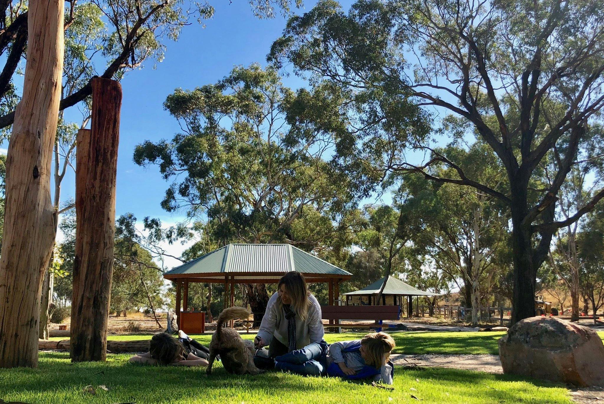 Kaniva Wetlands & Fauna Park