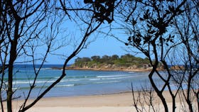Plover Island. Sandon.