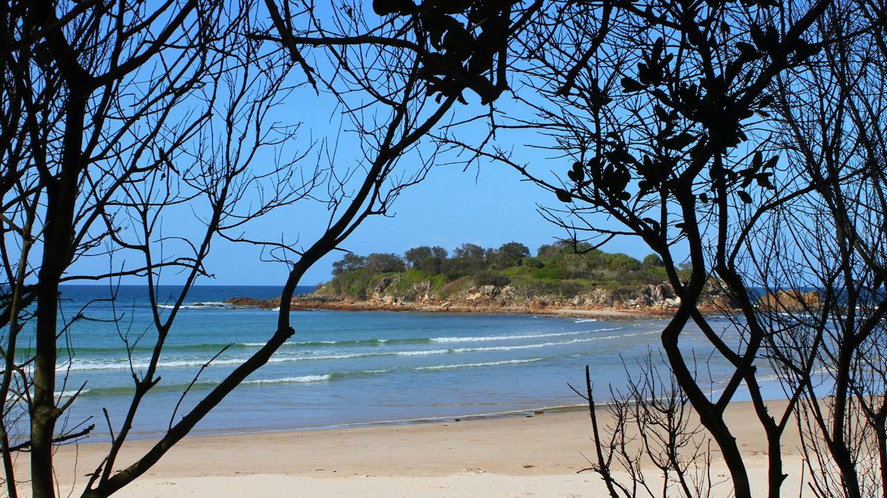Plover Island. Sandon.
