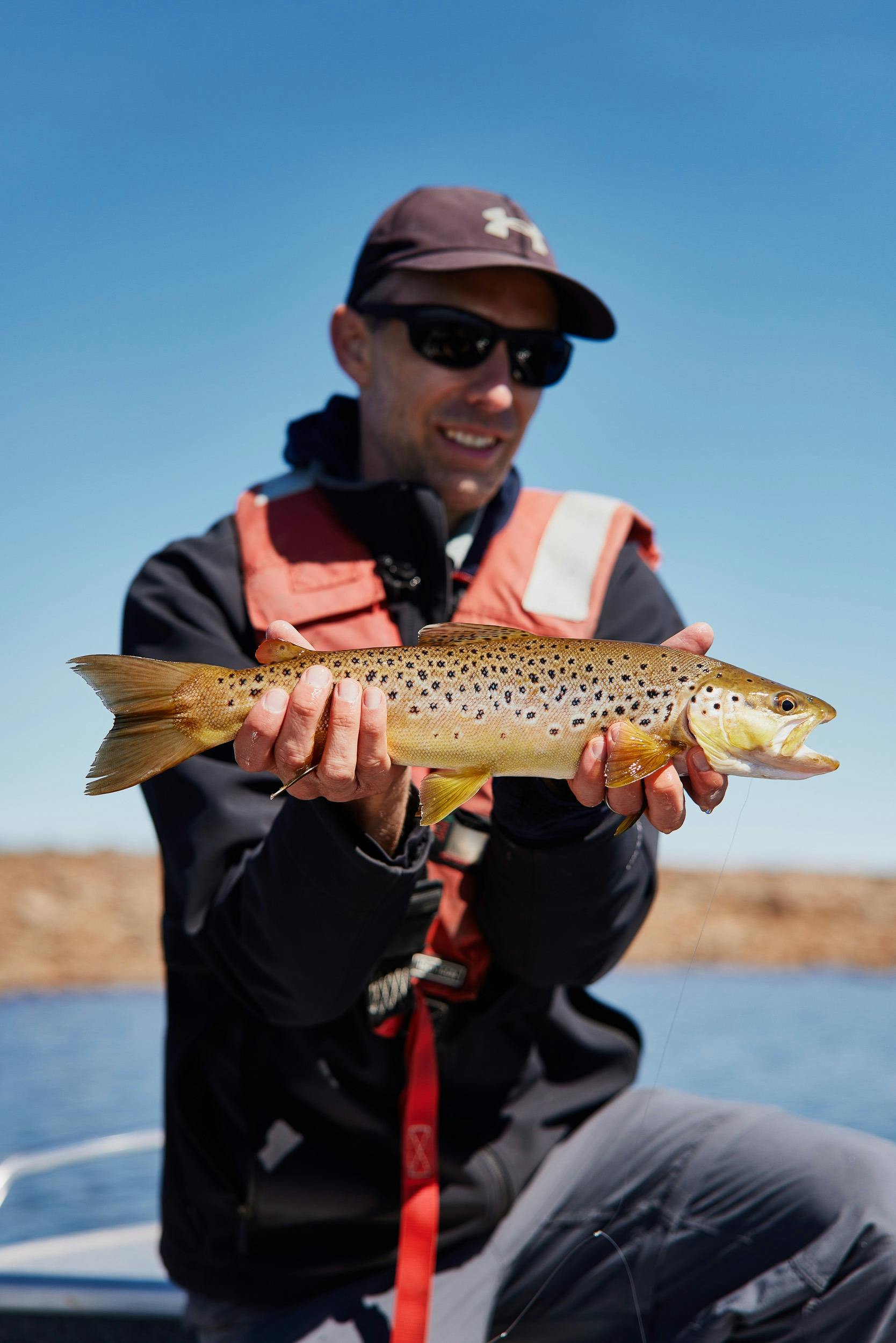 A cracking Great Lake brown
