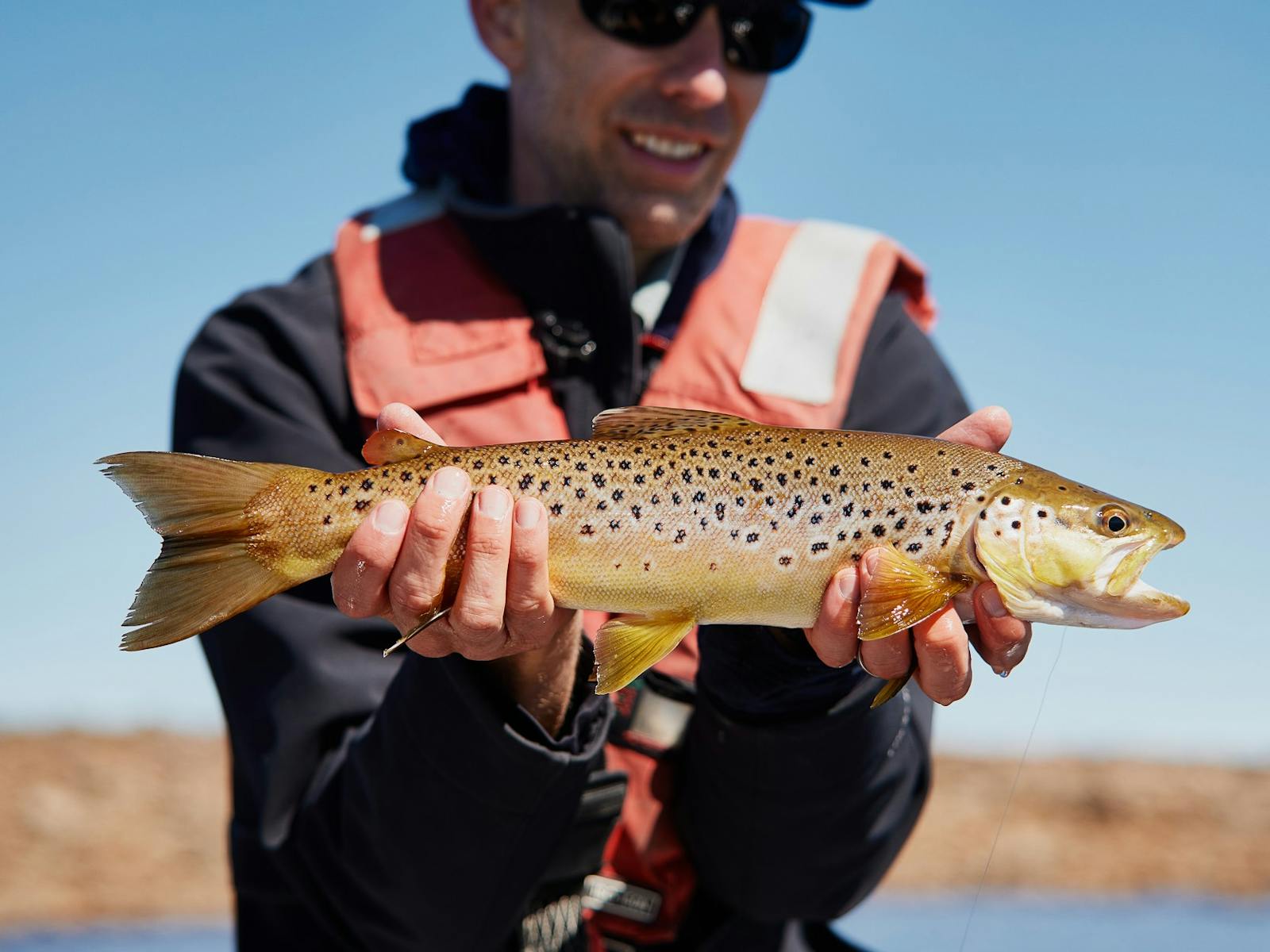 A cracking Great Lake brown
