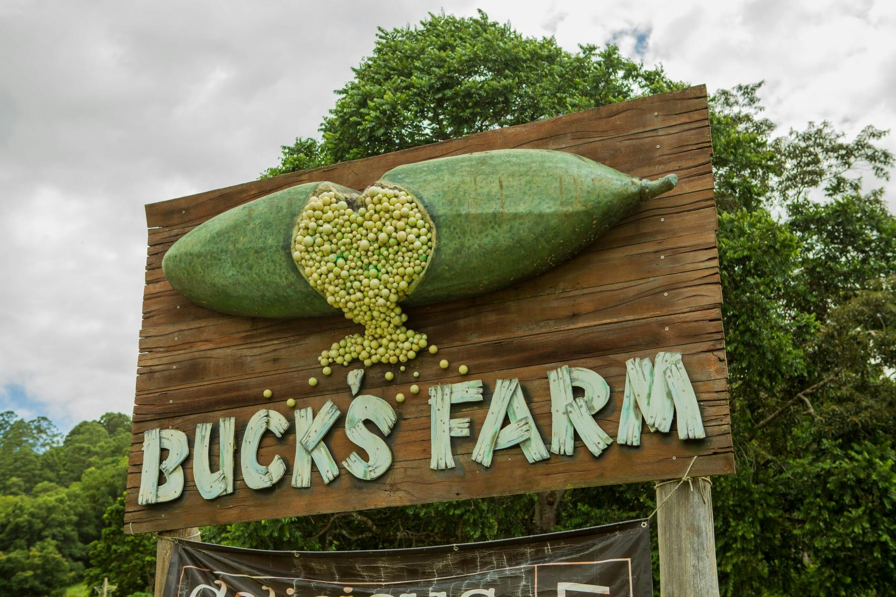 Buck's Farm Sign