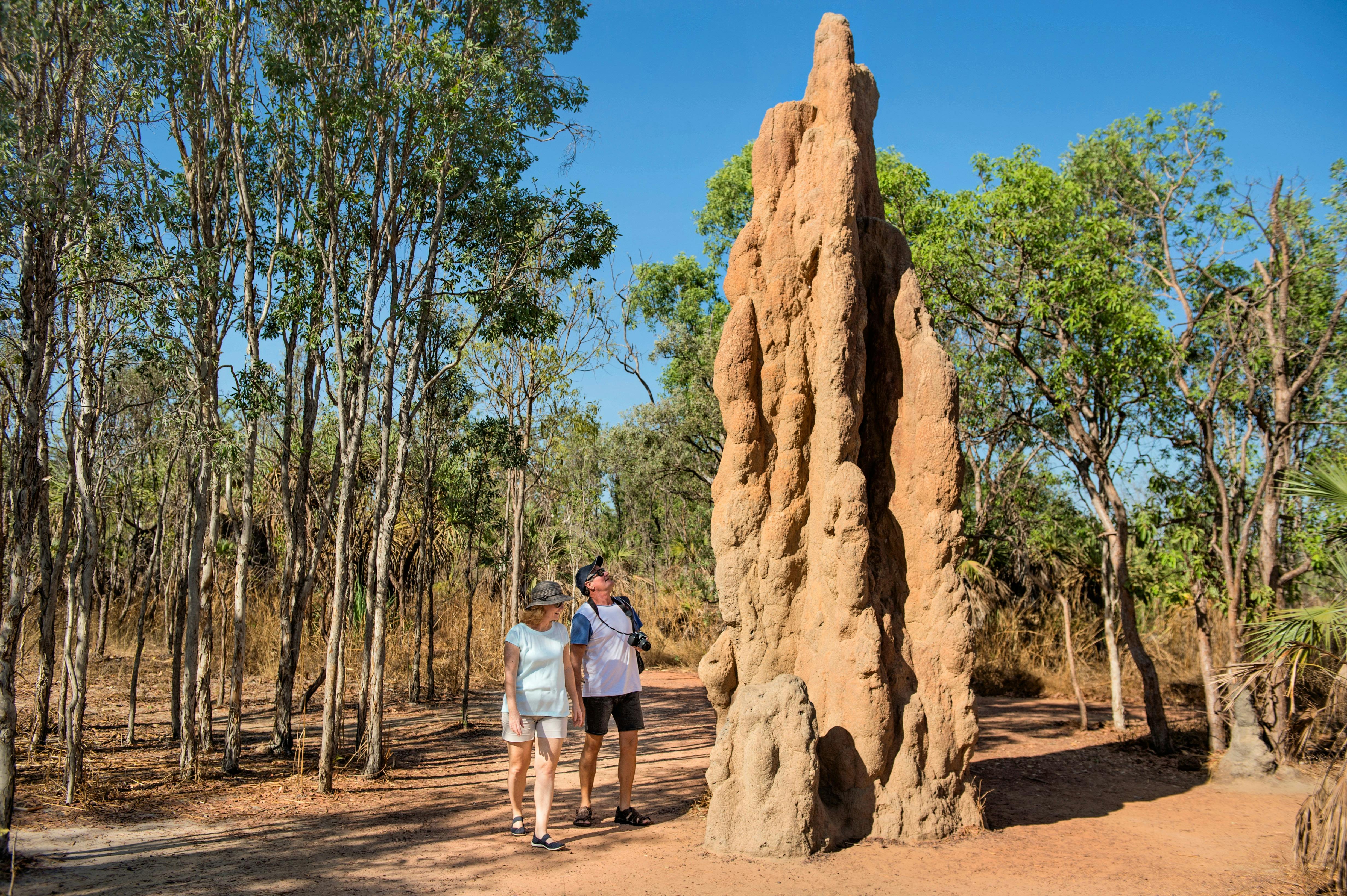 Towering termite mounds found throughout Litchfield National Park