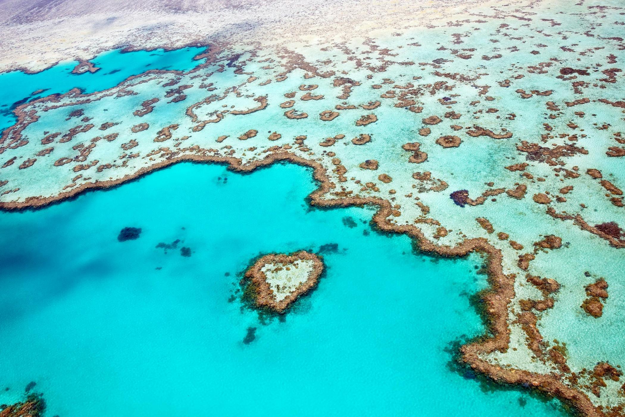 See Heart Reef from above!
