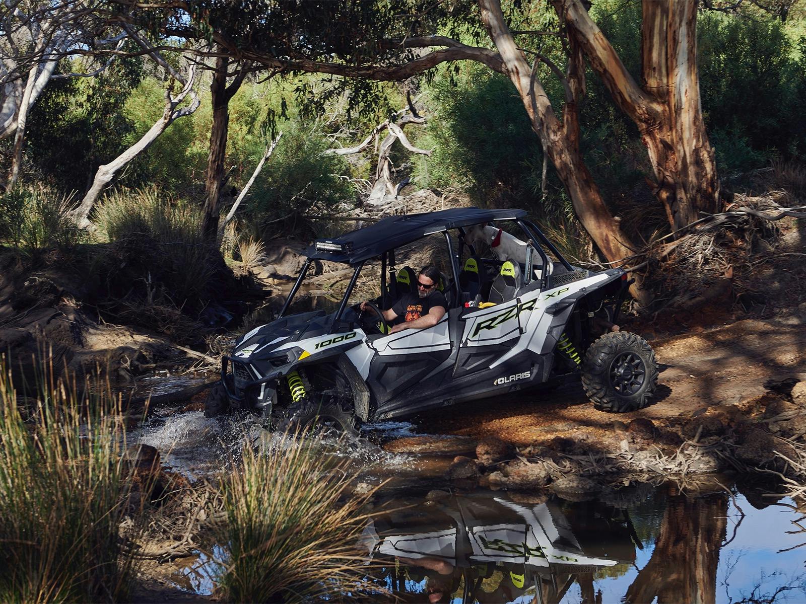 Buggy