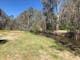 The Happy Valley Creek is our back boundary