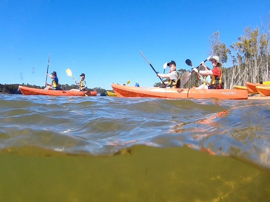 Canoeing Kayaking Surfing SUP Bushwalk