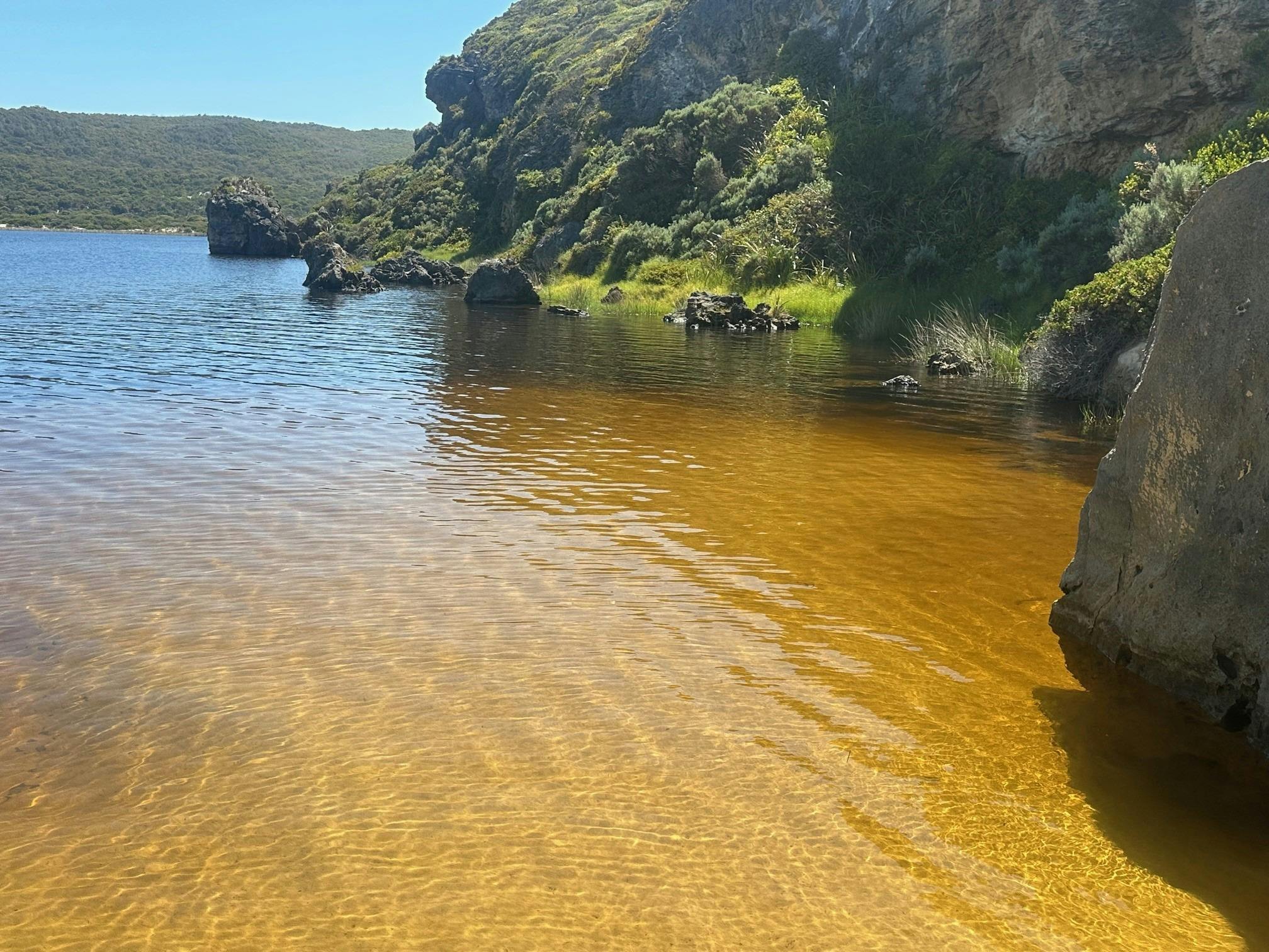 Donnelly River Cruises colors of the river, Beedelup, Western Australia