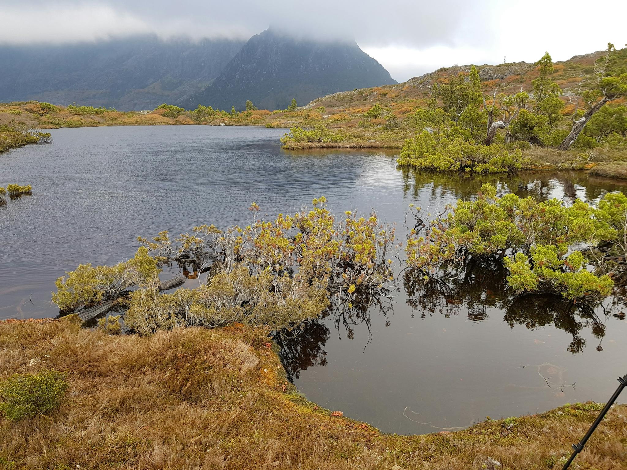 Alternante view of Cradle mountain