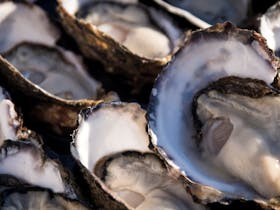 Melshell Oyster Shack