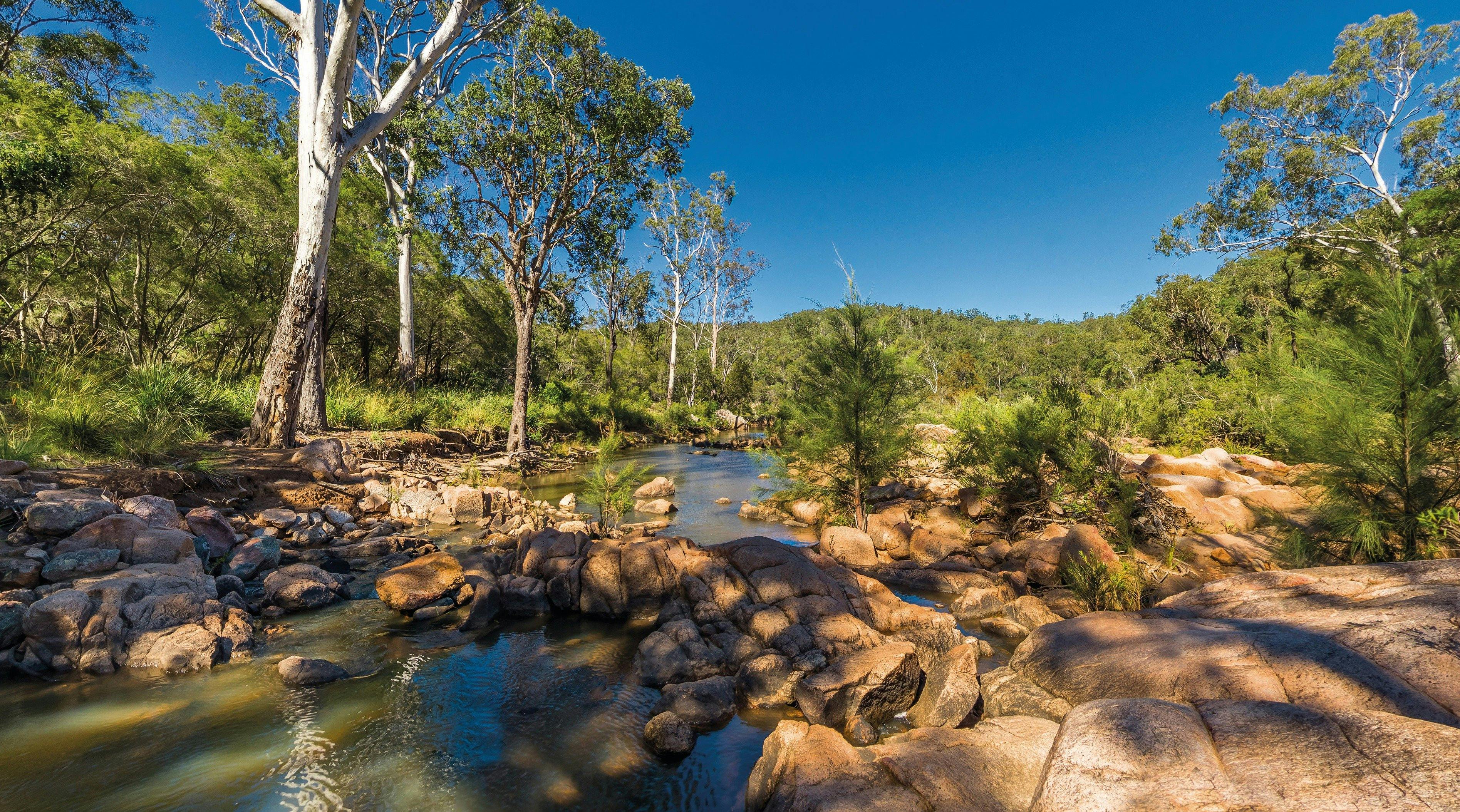 Crows Nest National Park Southern Queensland Country