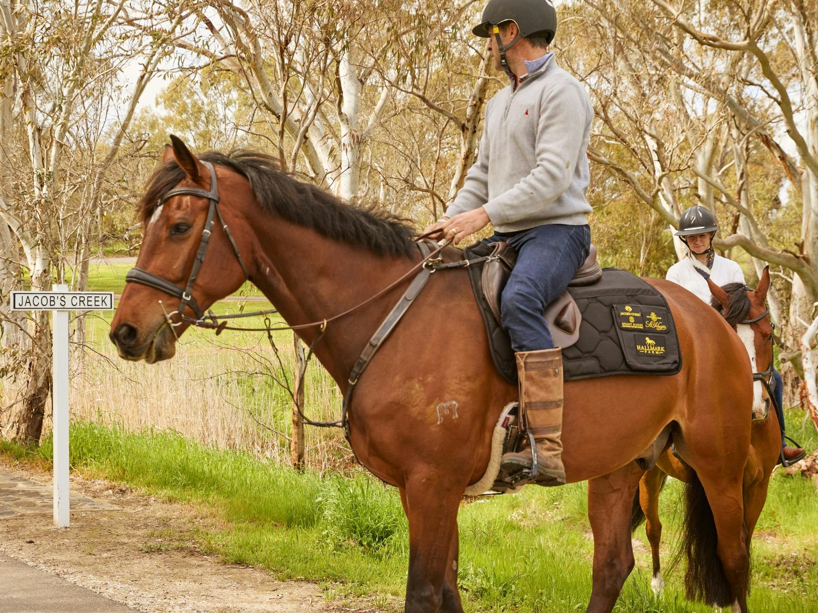 Vineyard Horse-Ride and Taste at Jacob's Creek