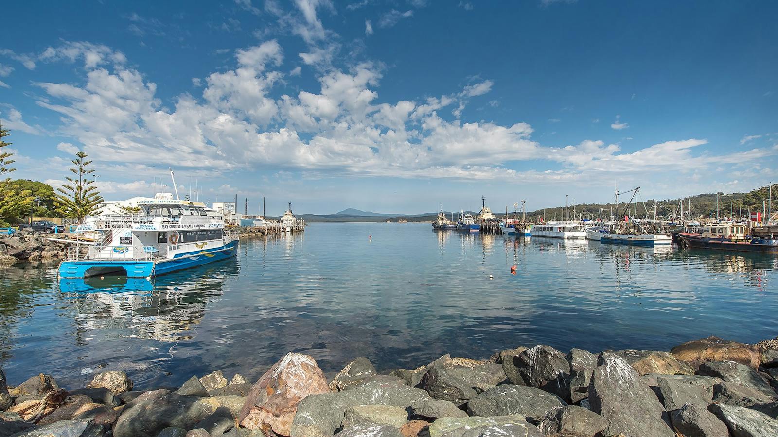 Peaceful harbour with moored boats