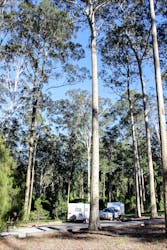 Bodalla Forest Rest Area