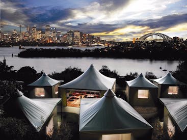 Roar and Snore Taronga Zoo