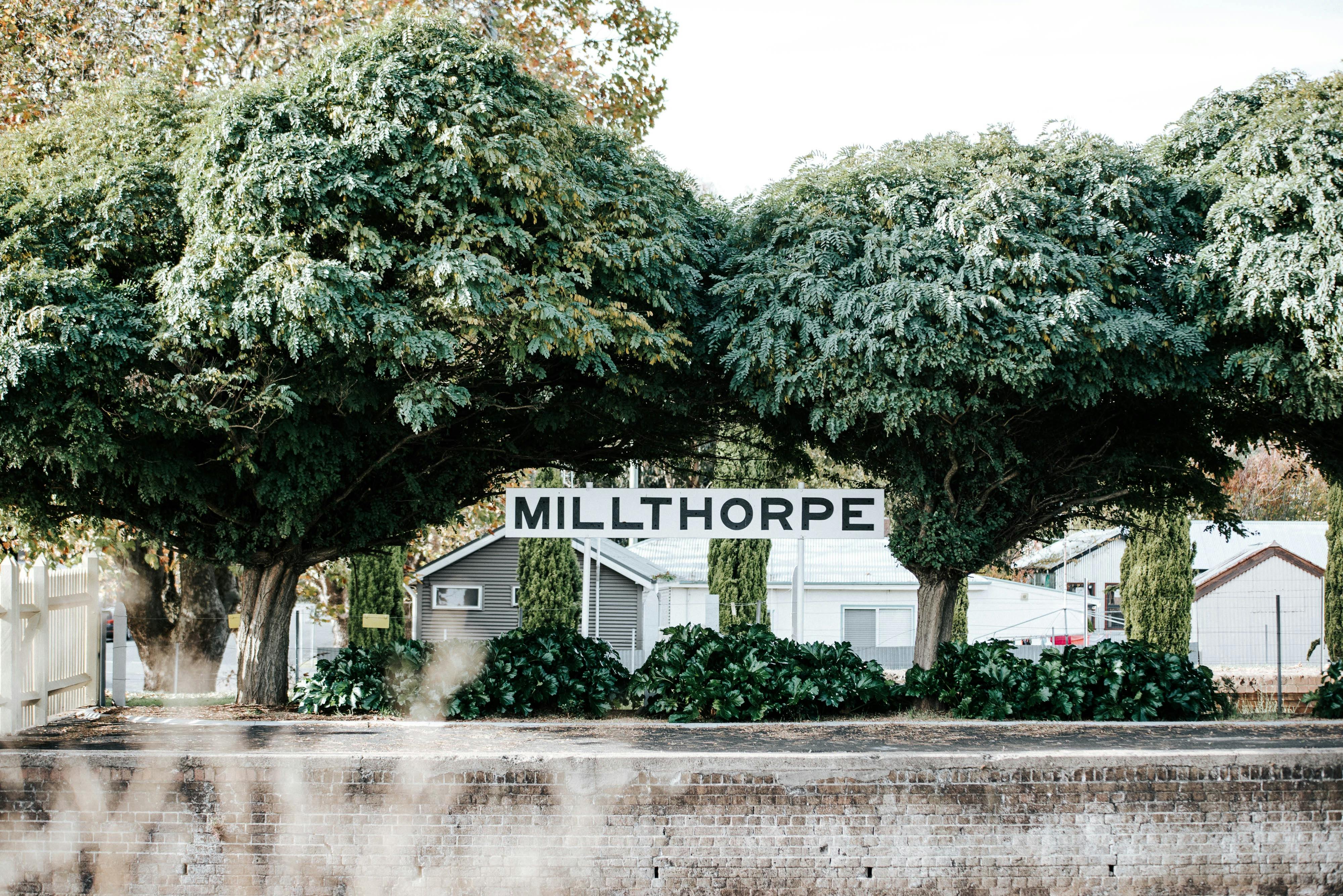 Millthorpe Markets NSW Holidays & Things to Do