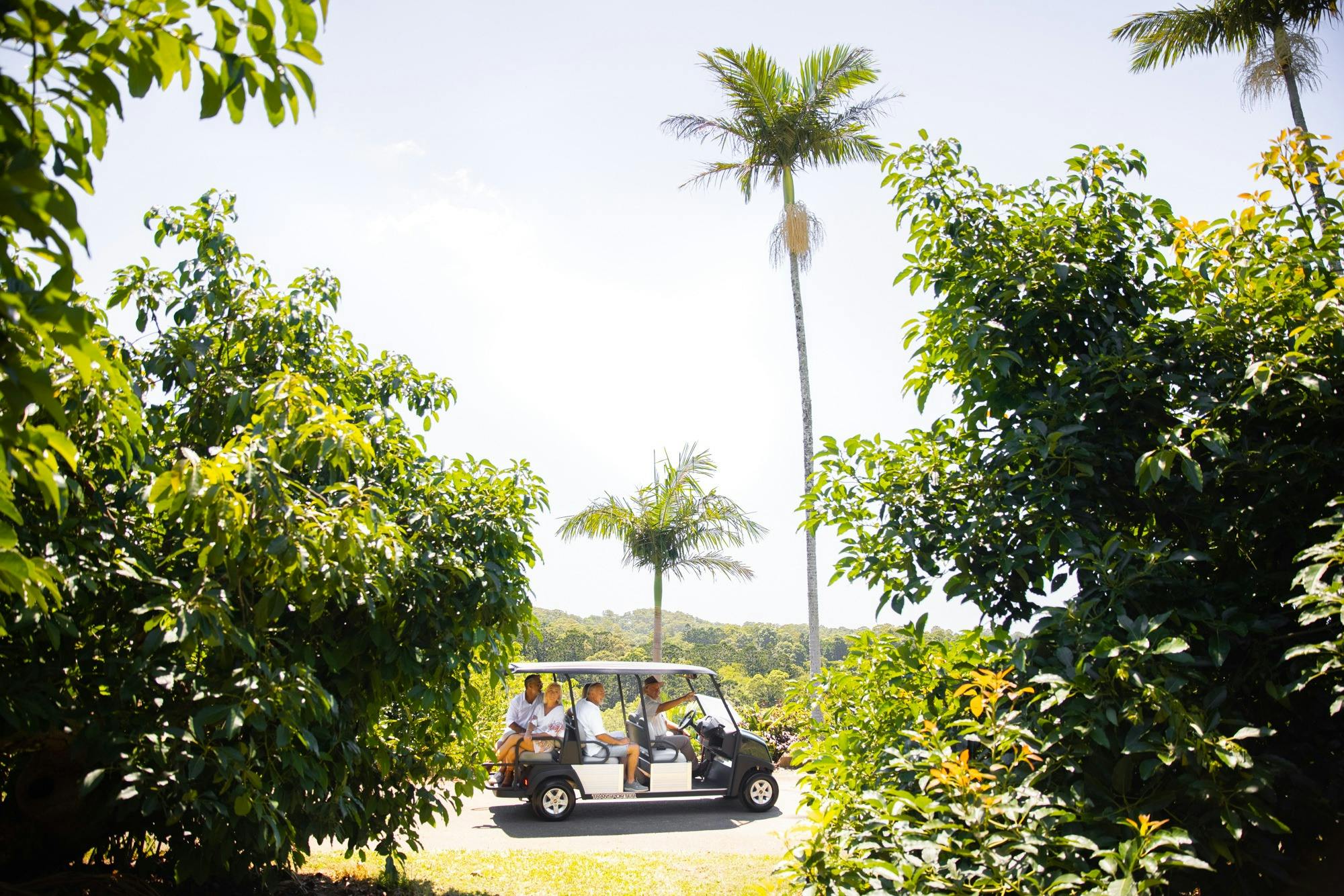 プライベートバギーツアー