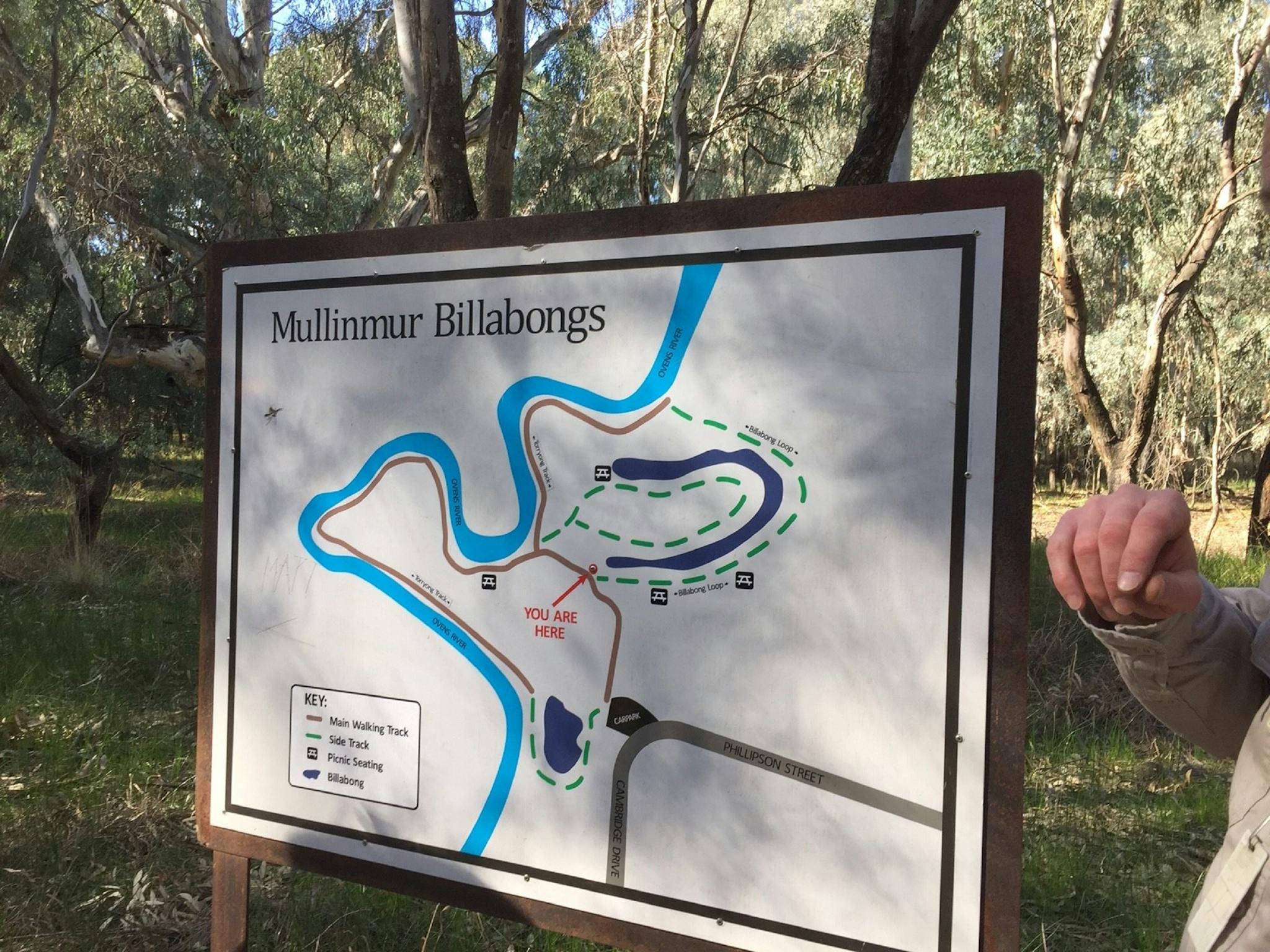 Interpretative Sign of the Billabongs, Gum trees and bushland in background