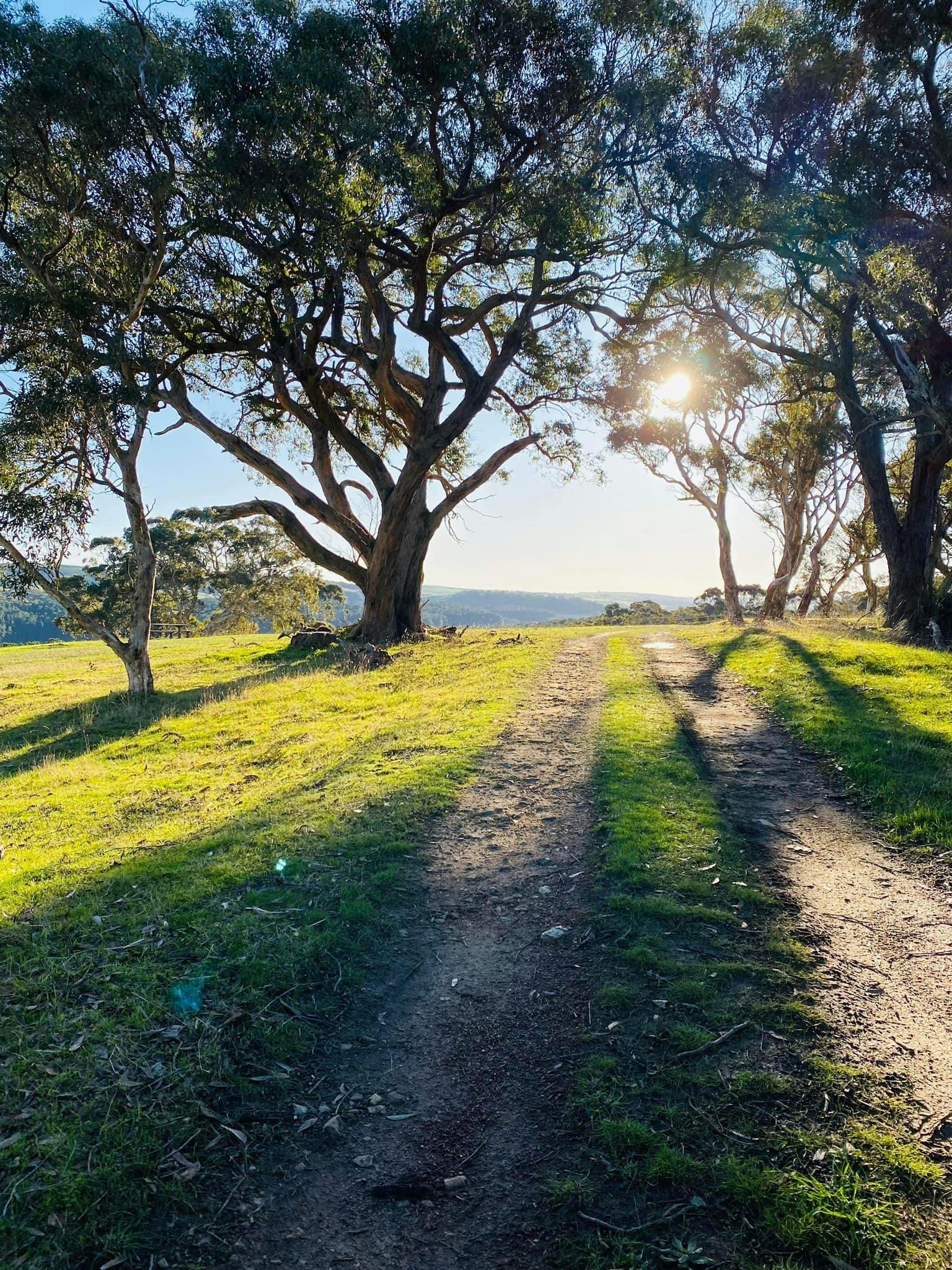 Myponga Reservoir Parkrun