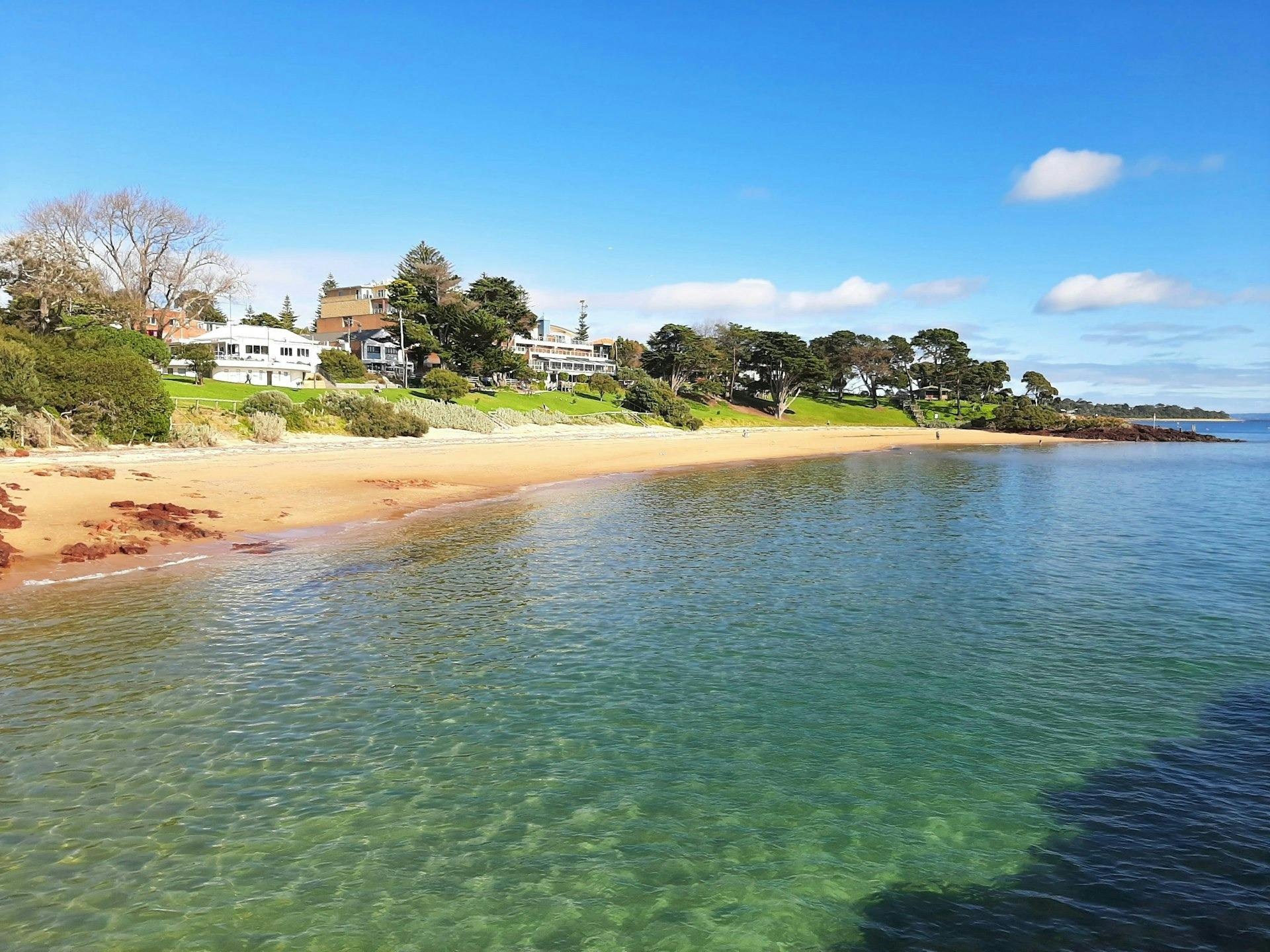 Melbourne: Boutique Phillip Island Wine and Penguins Tour