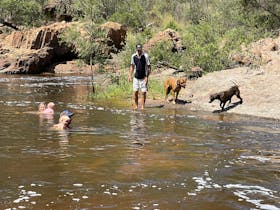The whole family can cool off down at the Boyne River