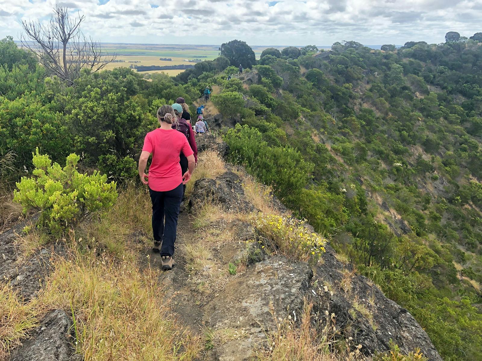 Mt Schank volcano walk