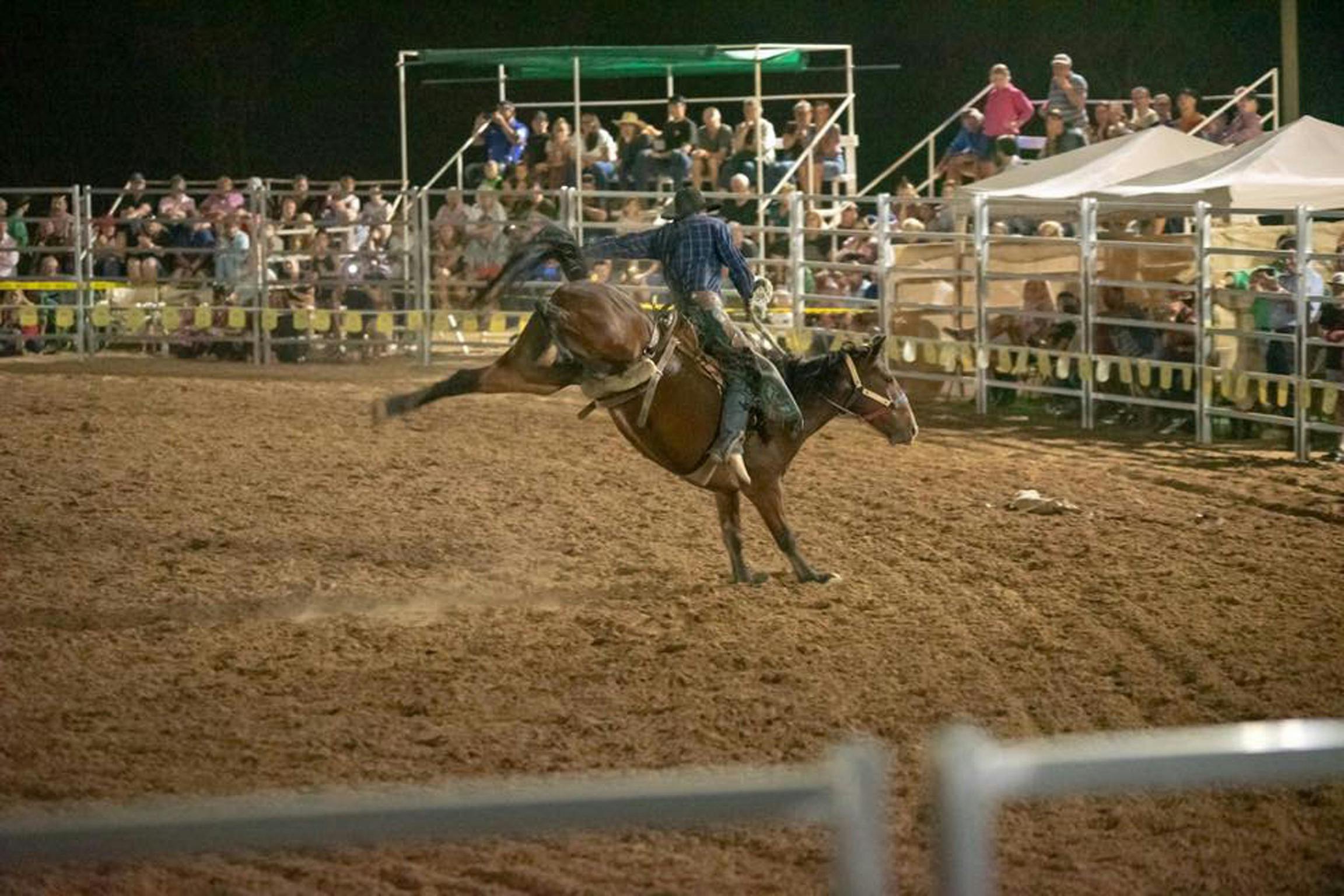 Bronc Ride