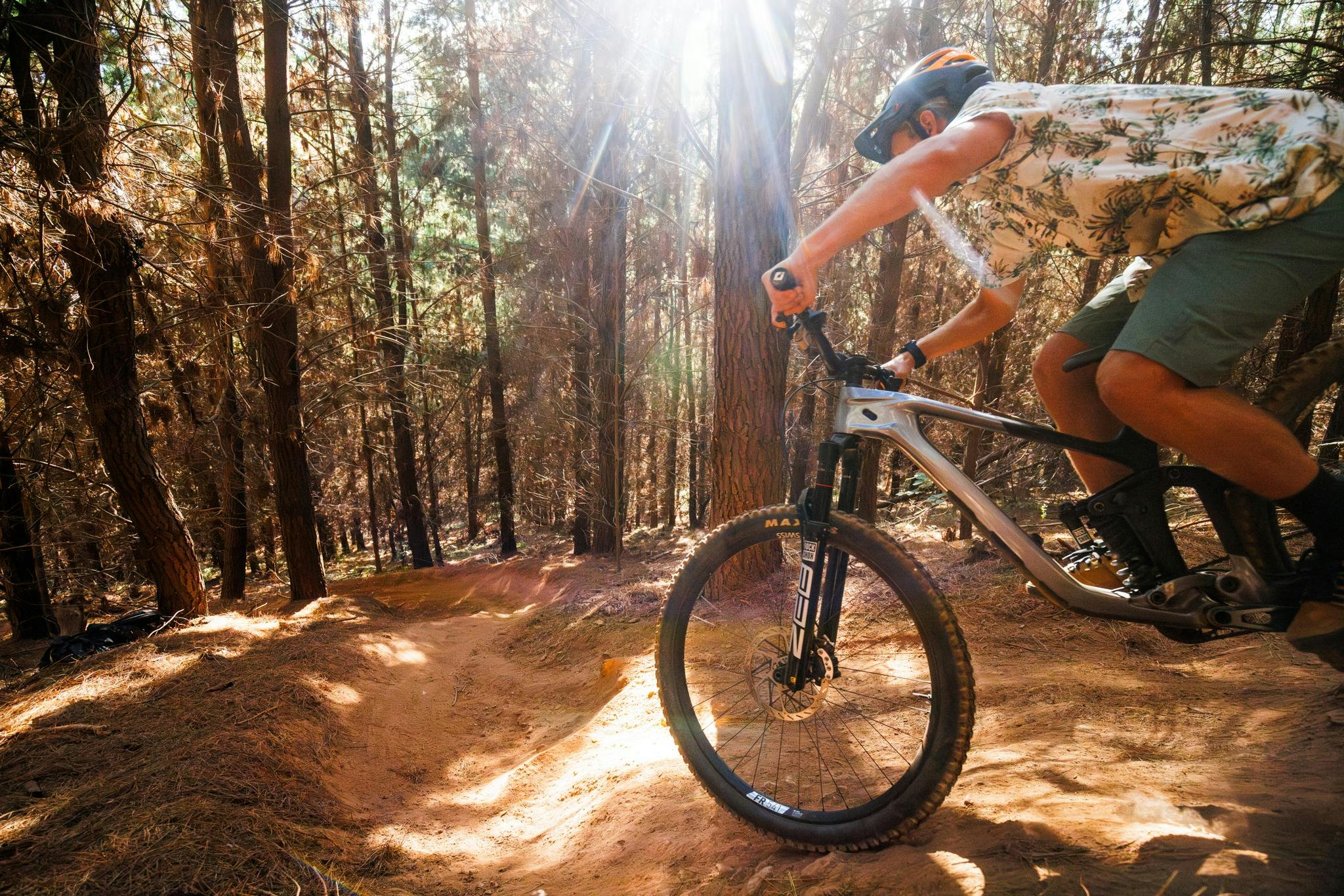 Rider on singletrail with mountain bike in amongst pine forest and sun shining through