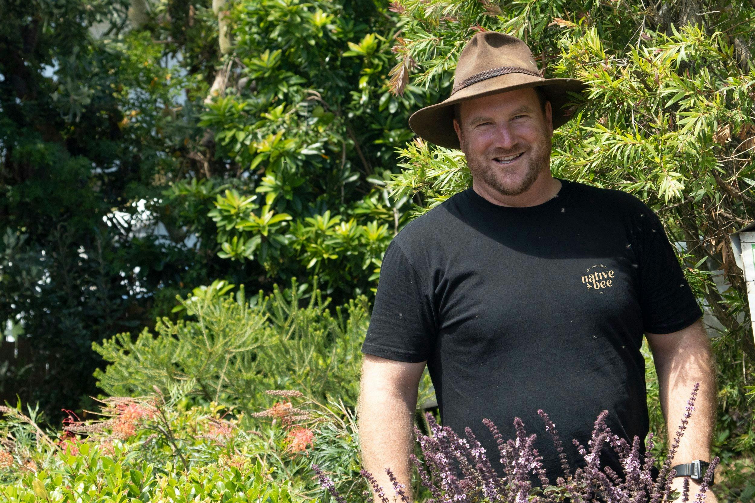 在来種のミツバチの飼育