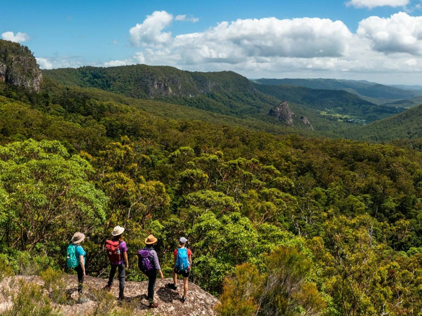 Yangahla Lookout, Gold Coast Hinterland