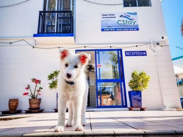 CStay Holiday Accommodation