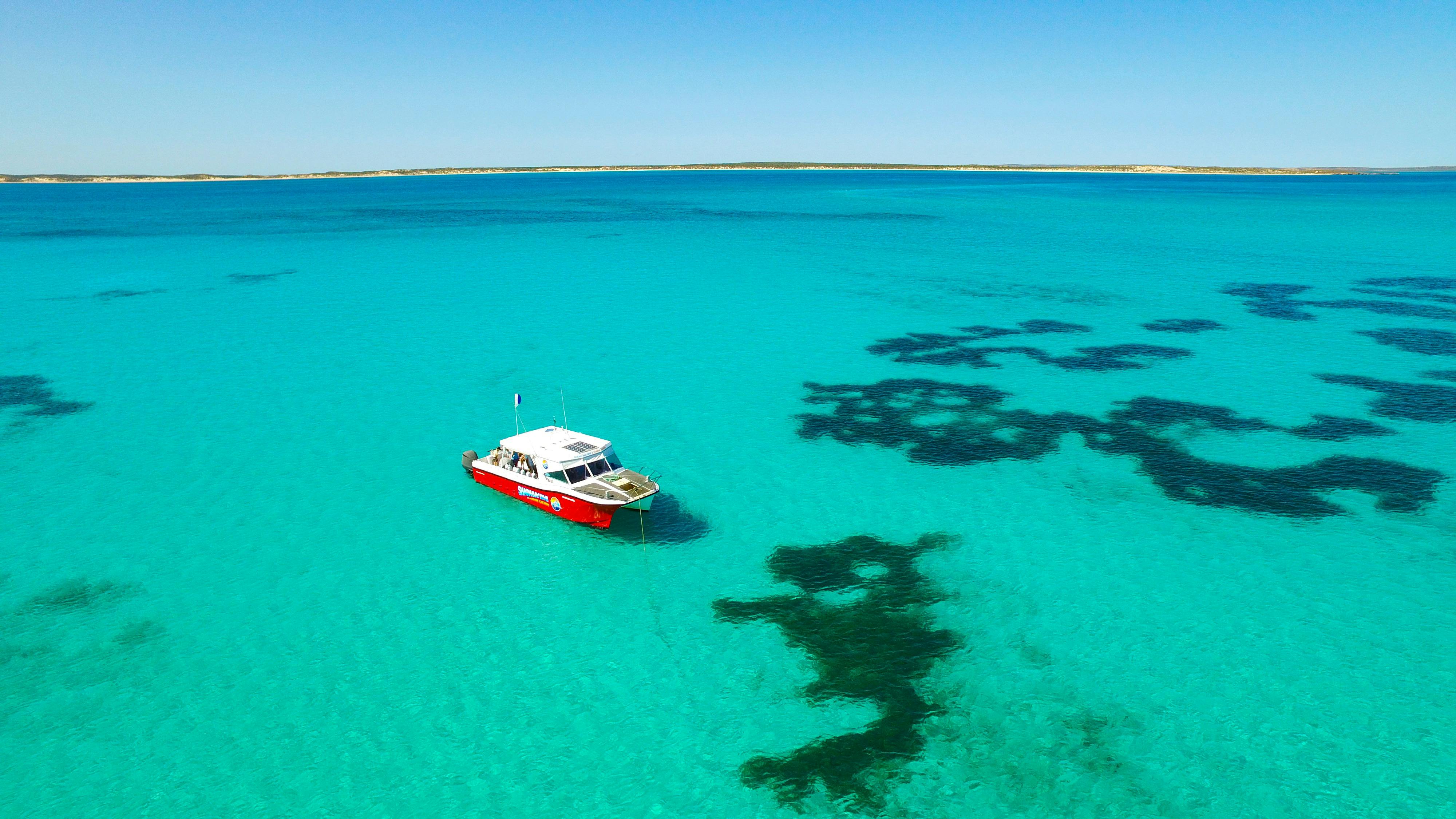 Shark Bay Dive and Marine Safaris, Shark Bay, Western Australia