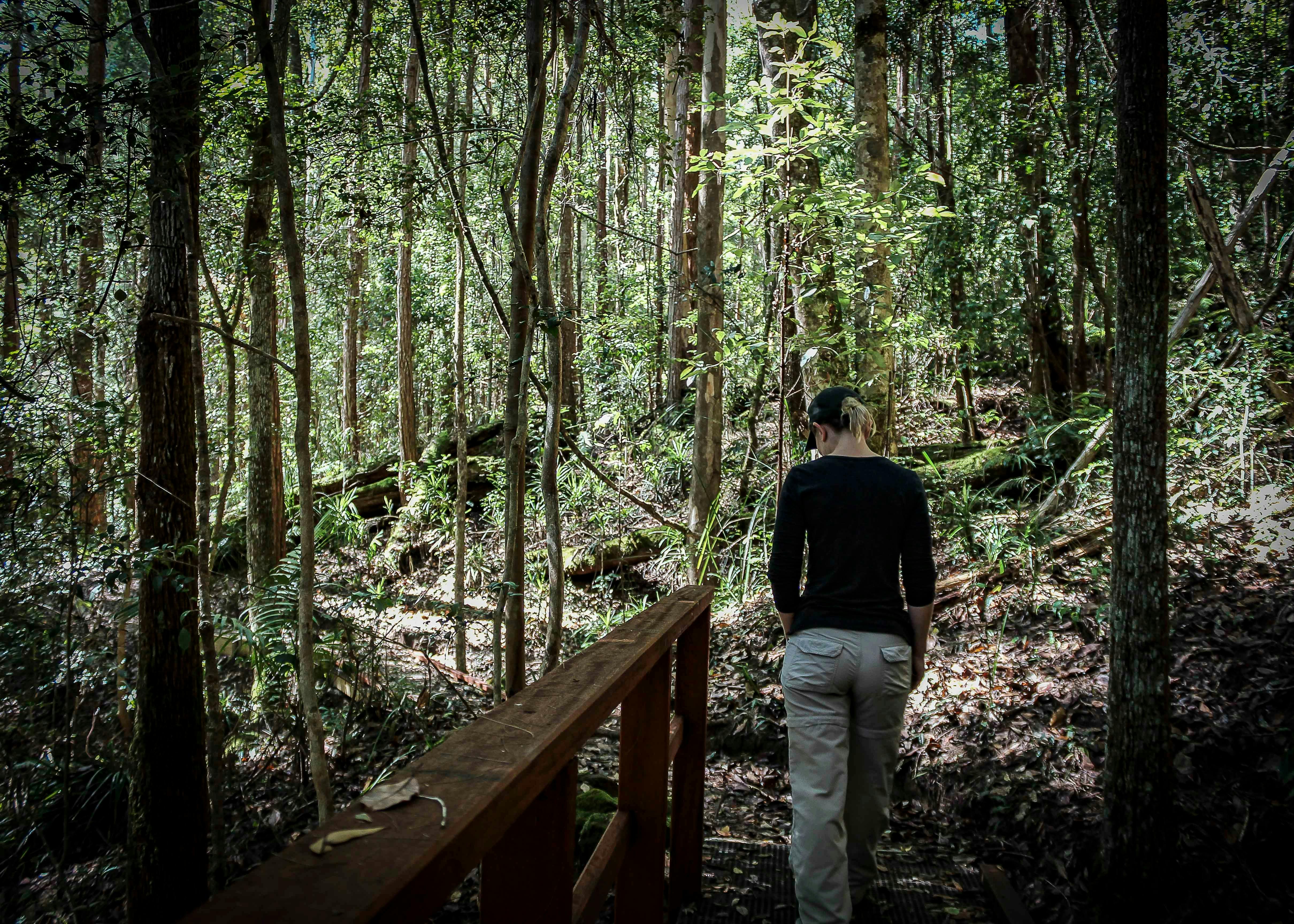 A woman walks over the Cascade Walking Track footbridge