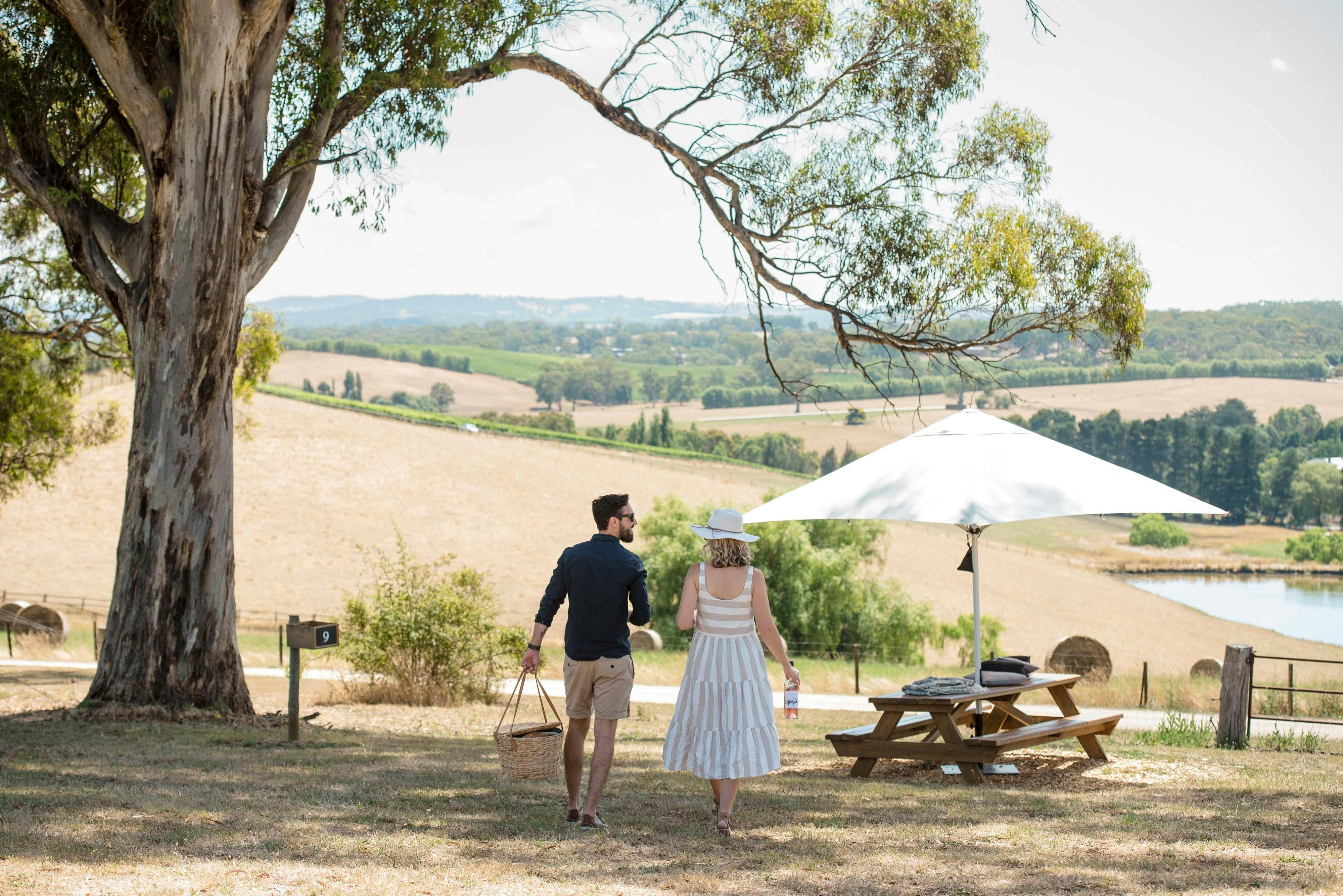 Enjoying a picnic at The Lane Vineyard in Hahndorf