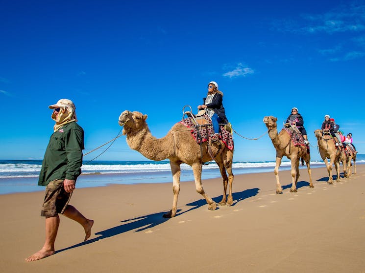 Camel Safari on Lighthouse Beach
