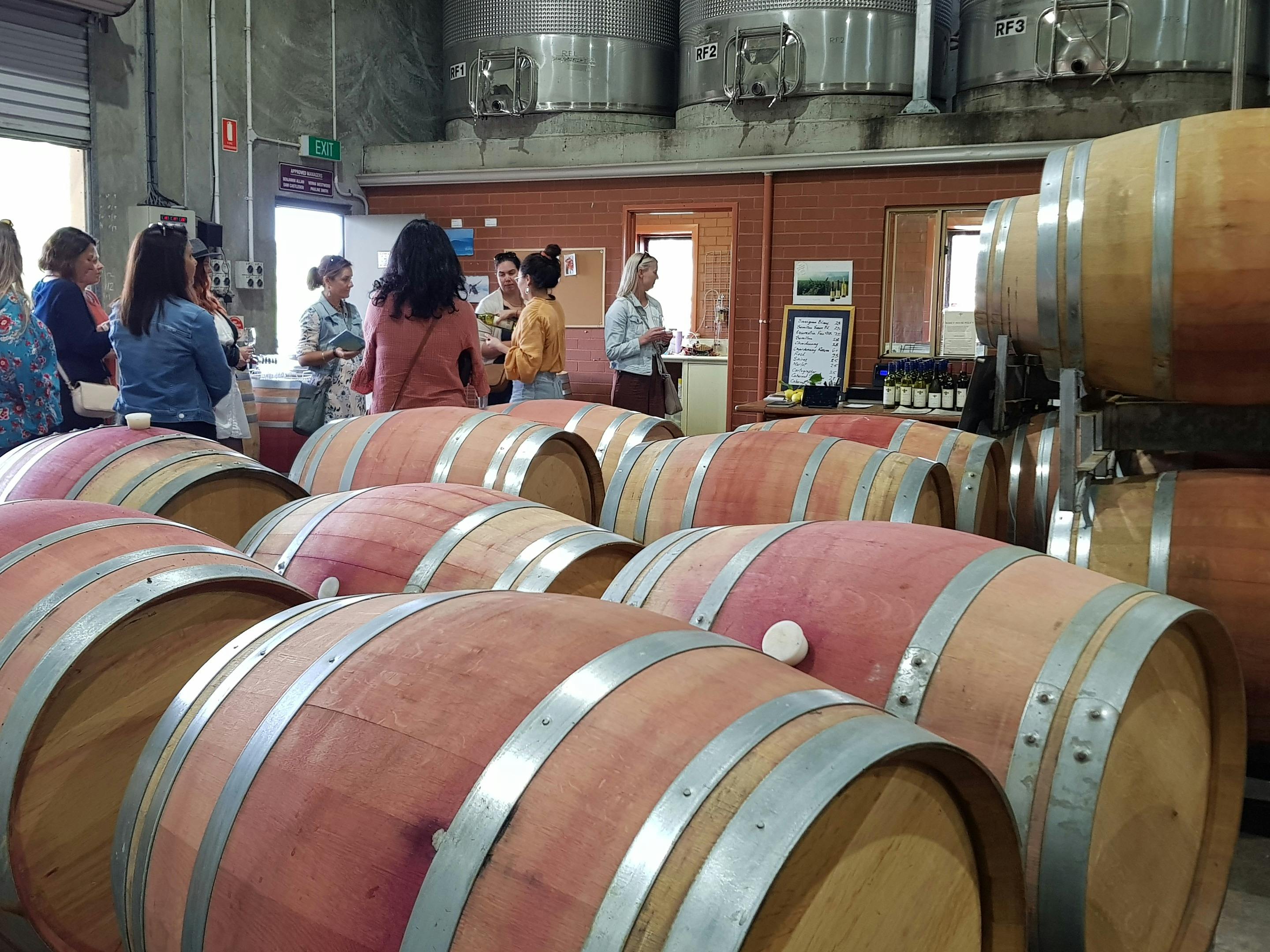 Wine tasting behind the scenes in the winery