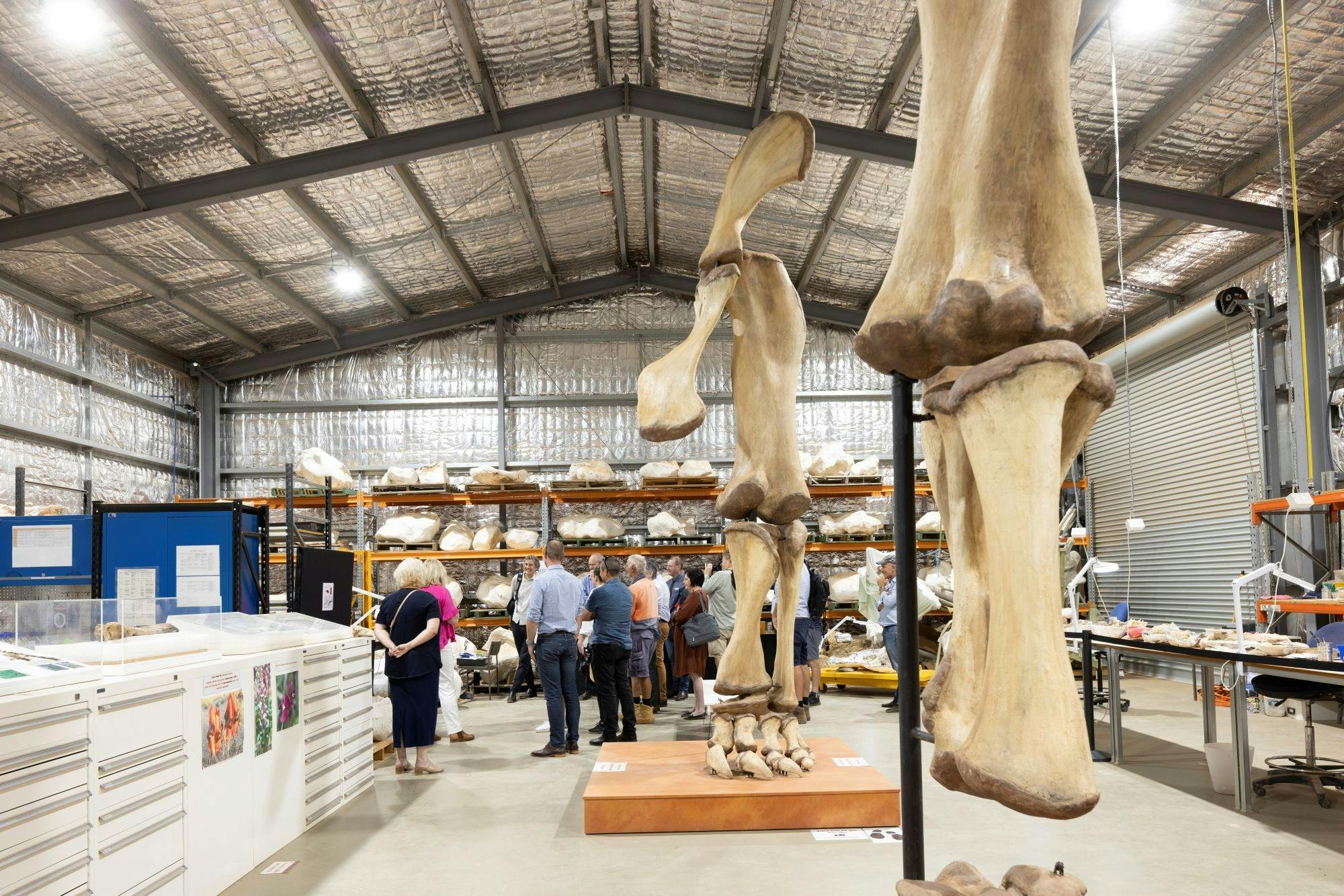 Tour the Workshop