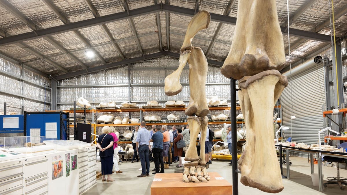 Group fo tour paritcipants standing with dinosaur bones