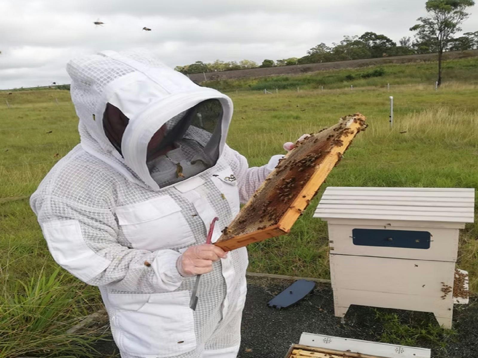 bee keeping