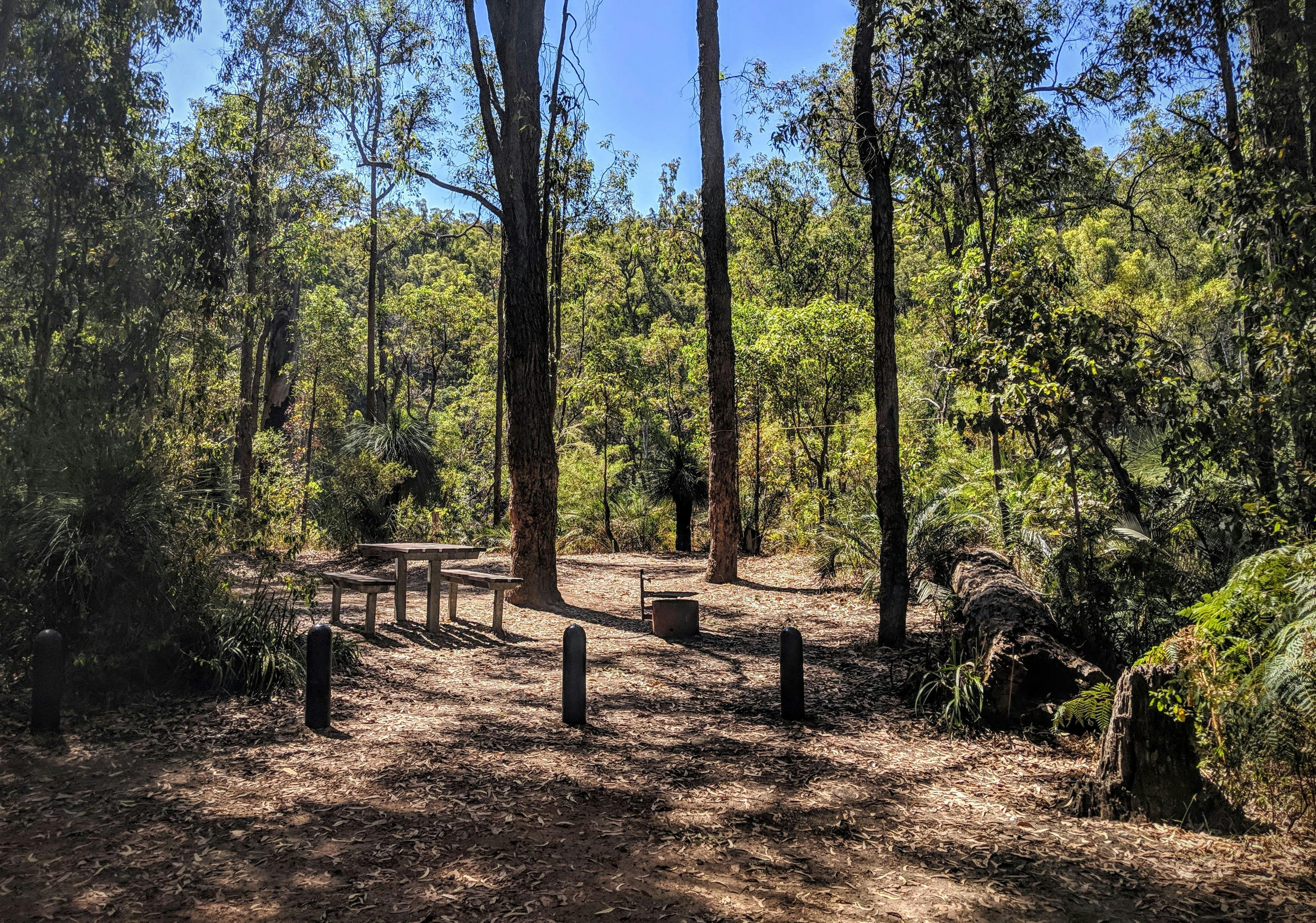 Wood picnic table and benches, firering surrounded by trees.