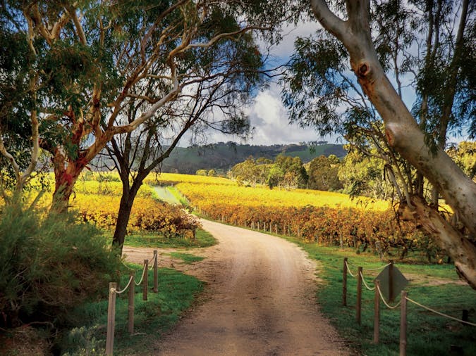 McLaren Vale Winery Experience - Small Group Tour