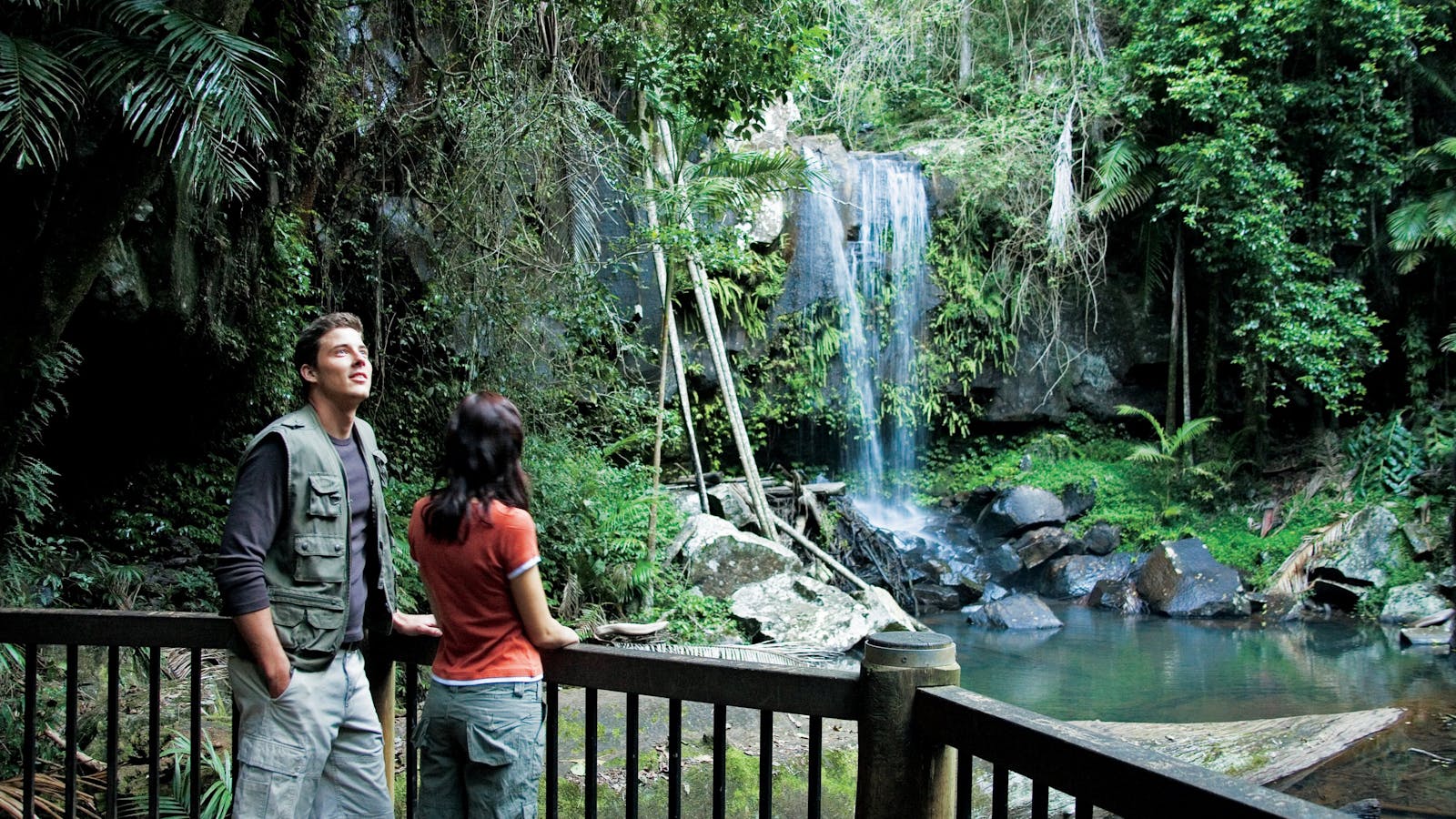 Joalah section, Tamborine National Park