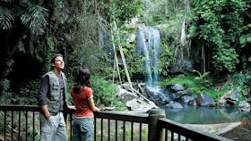 Joalah section, Tamborine National Park