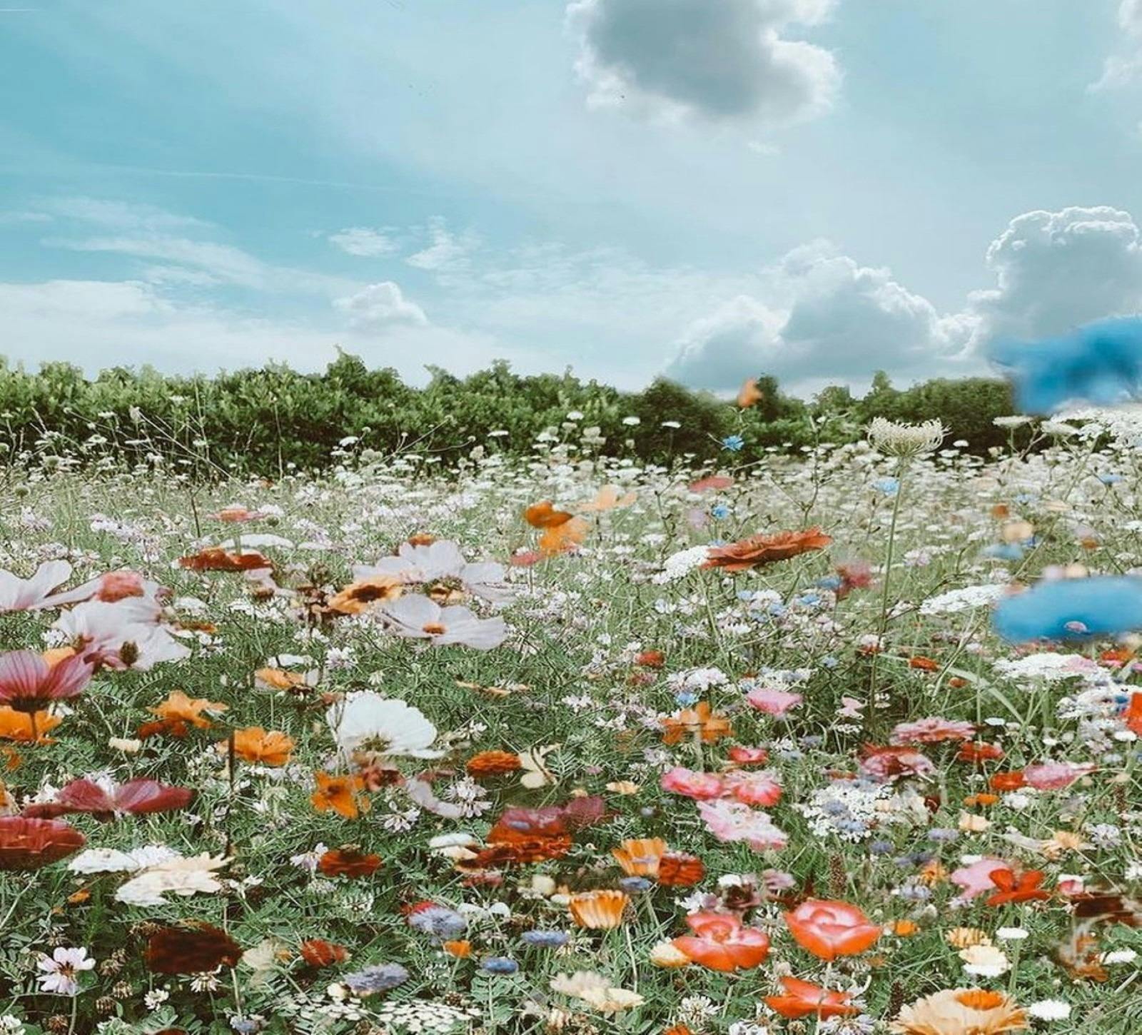 Regenerative Agriculture Insights with Ben Sharp edit