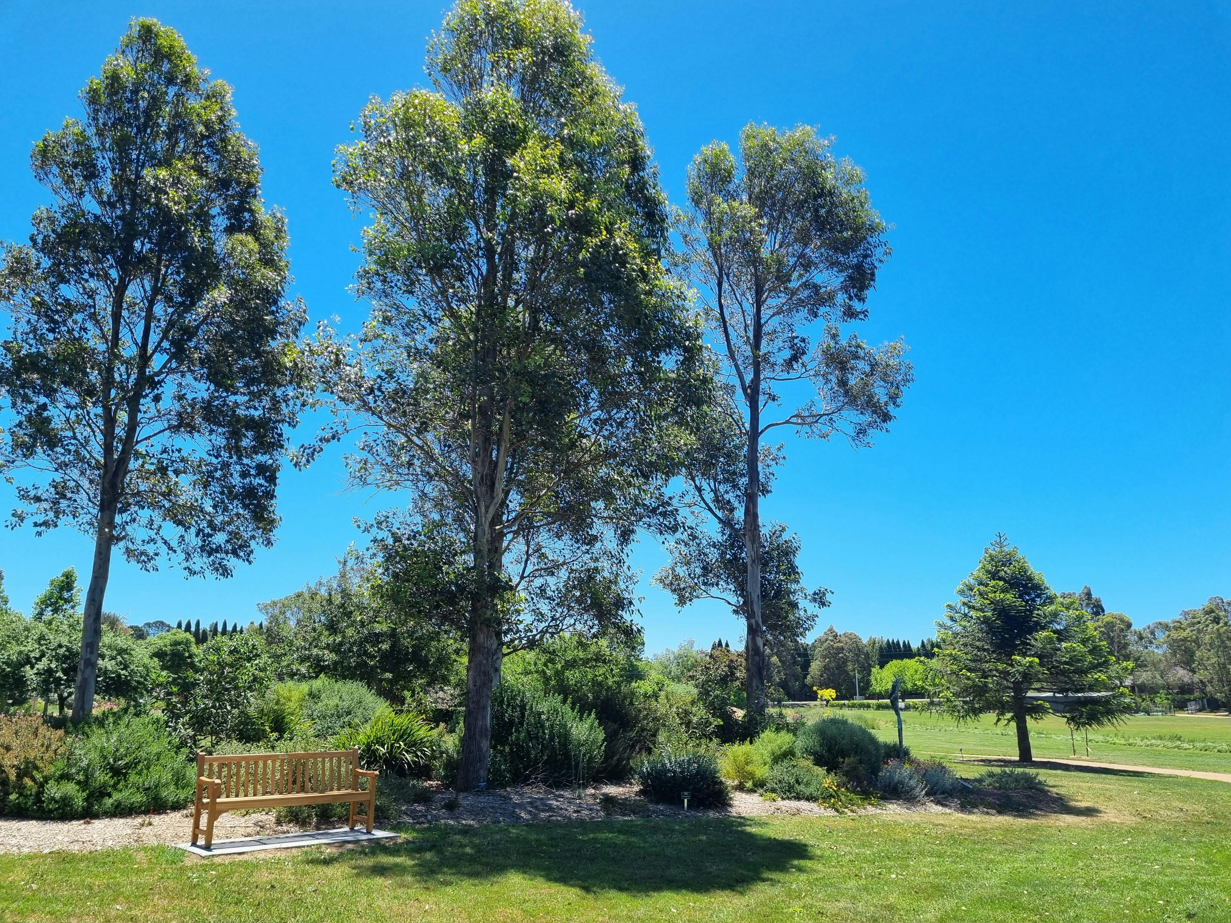 Southern Highlands Botanic Gardens