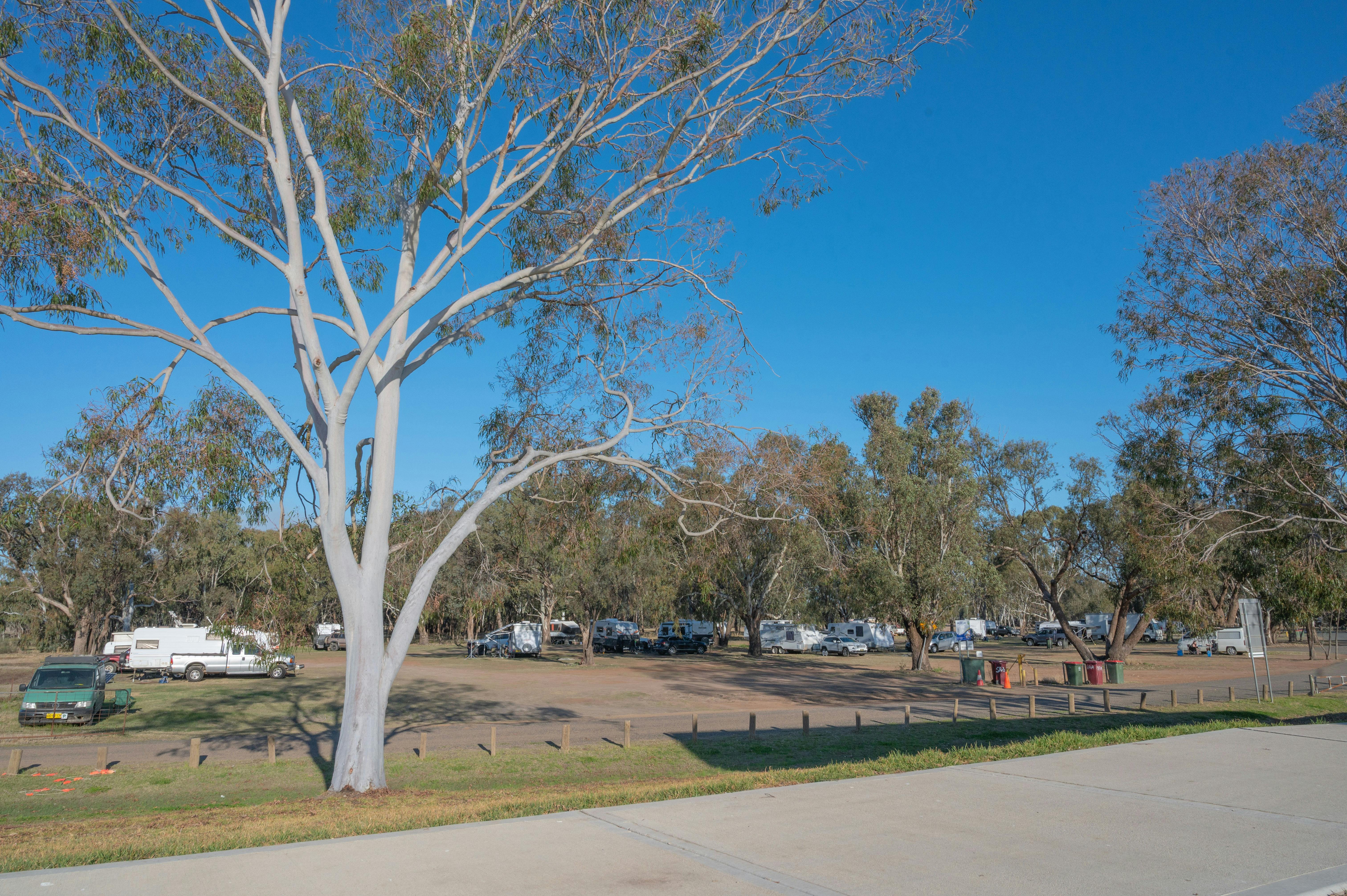 Free Camping at Gum Bend Lake