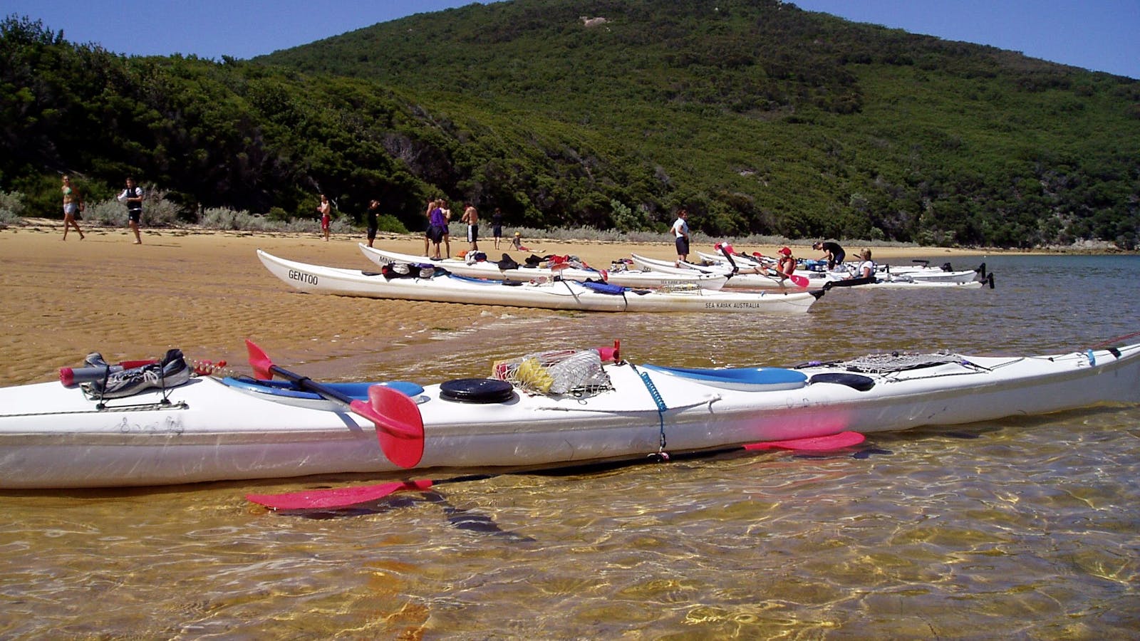Tin MIne Cove Beach