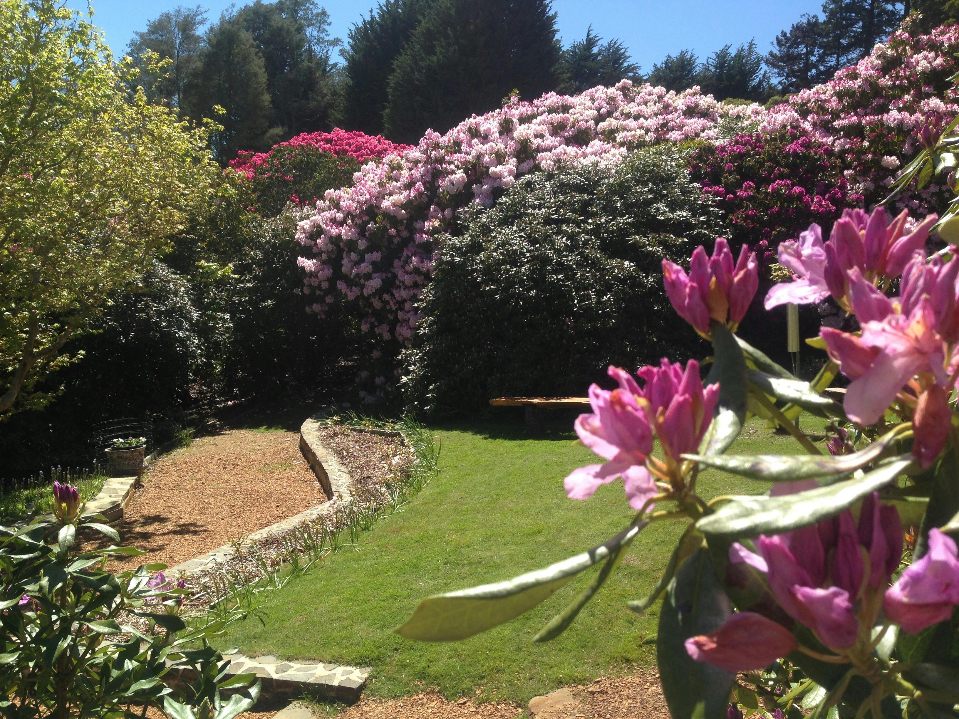 Lalla Flower Farm